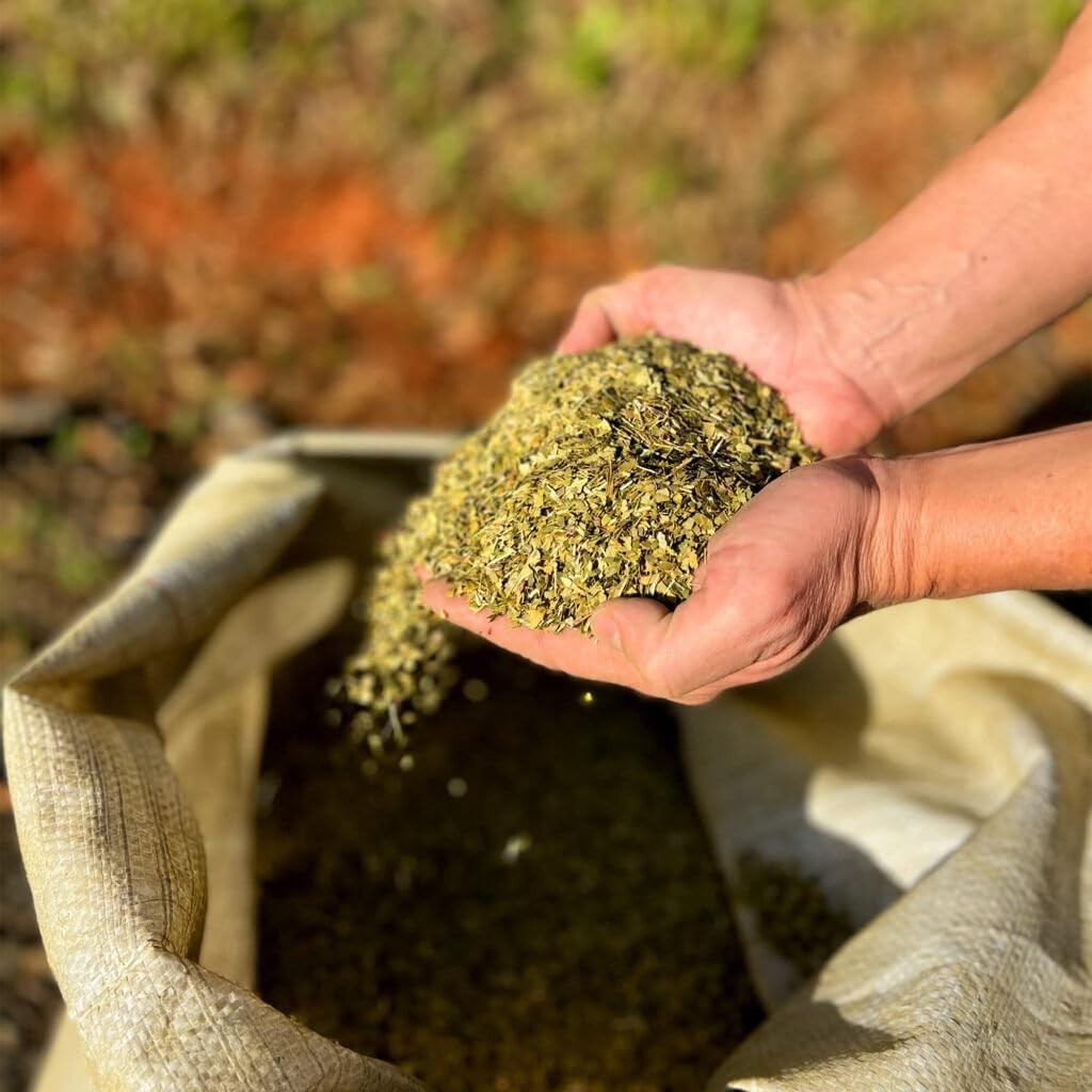 Premium Uruguayan Traditional Yerba Mate 1kg (2.2 lbs) – Organic, Energizing Tea