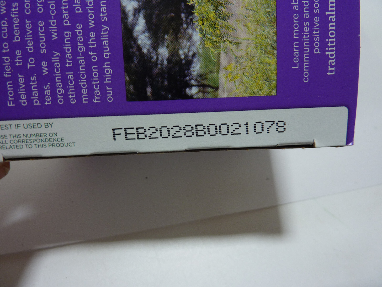Traditional Medicinals Smooth Move Peppermint Tea 16 Tea Bag
