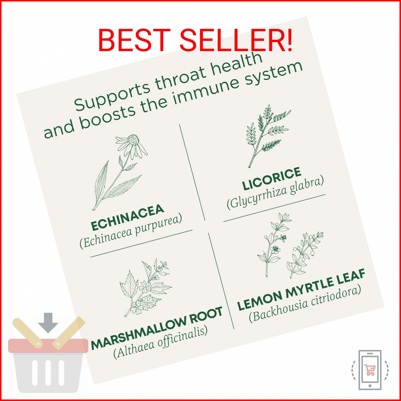 Traditional Medicinals, Organic Throat Coat Lemon Echinacea – Supports Throat He