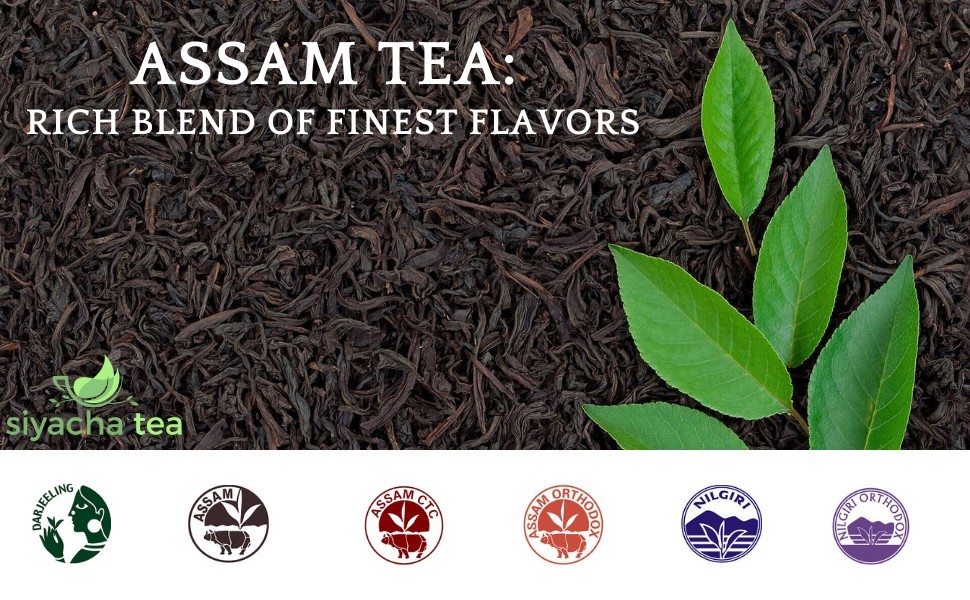 Assam Orthodox First Flush Tea 2026 Fresh Orangajuli SFTGFOP 1 Whole Leaf Blend