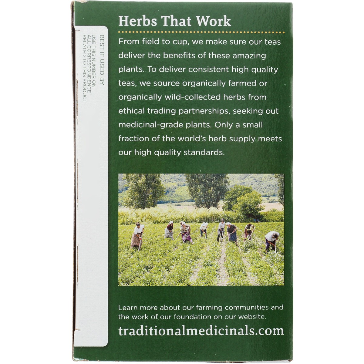 Traditional Medicinals Organic Lemon Balm Herbal Tea 16 Bags 3 Pack