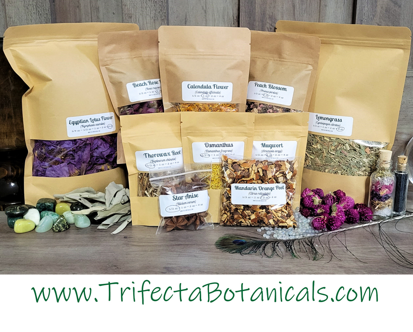 White Willow Bark – Salix alba – Organic Dried C/S Herb Apothecary Tea 0.5-4 oz