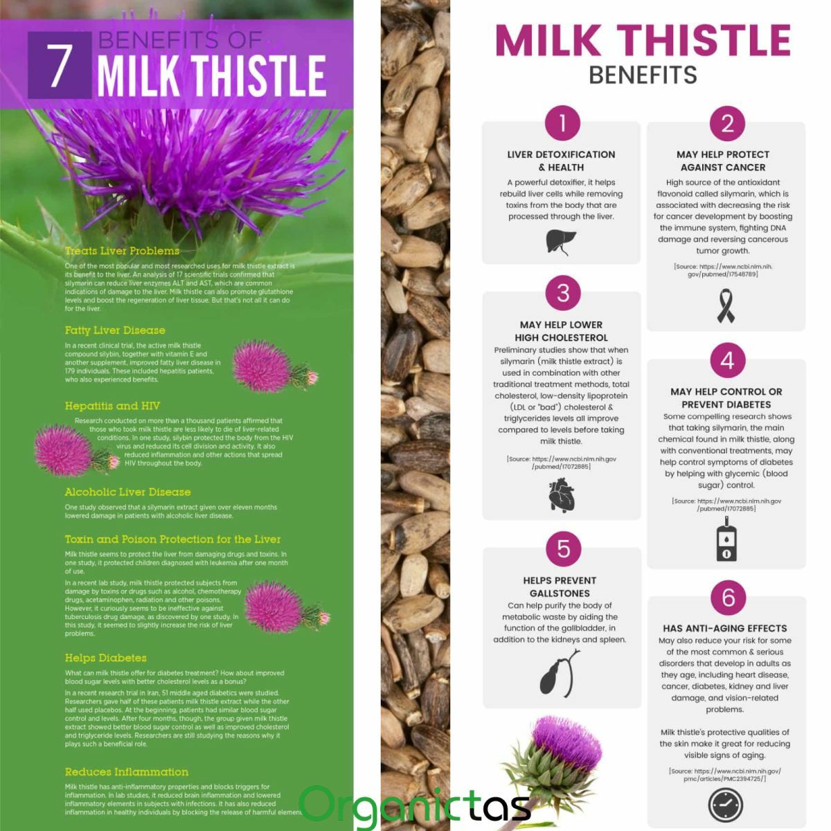 MILK THISTLE SEEDS – Organic for Tea Silybum Marianum Natural Detox 50g-400g BIO