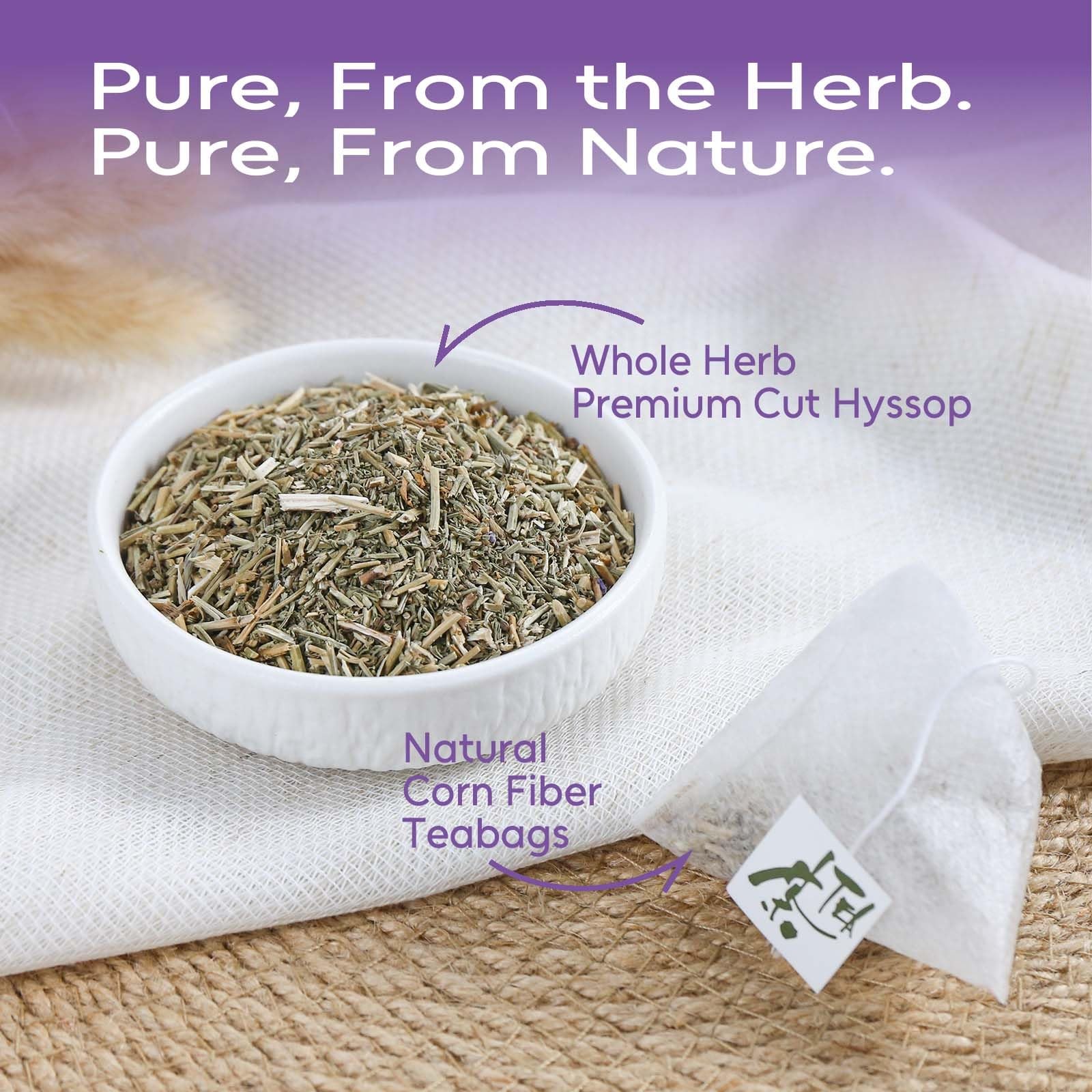 Organic Hyssop Herbal Tea Bags – 24 Count for Wellness Relaxation