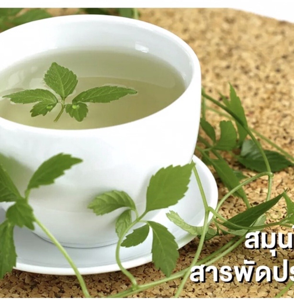 Jiaogulan Herbal Tea 30 Sachets Gynostemma Pentaphyllum Thai Natural