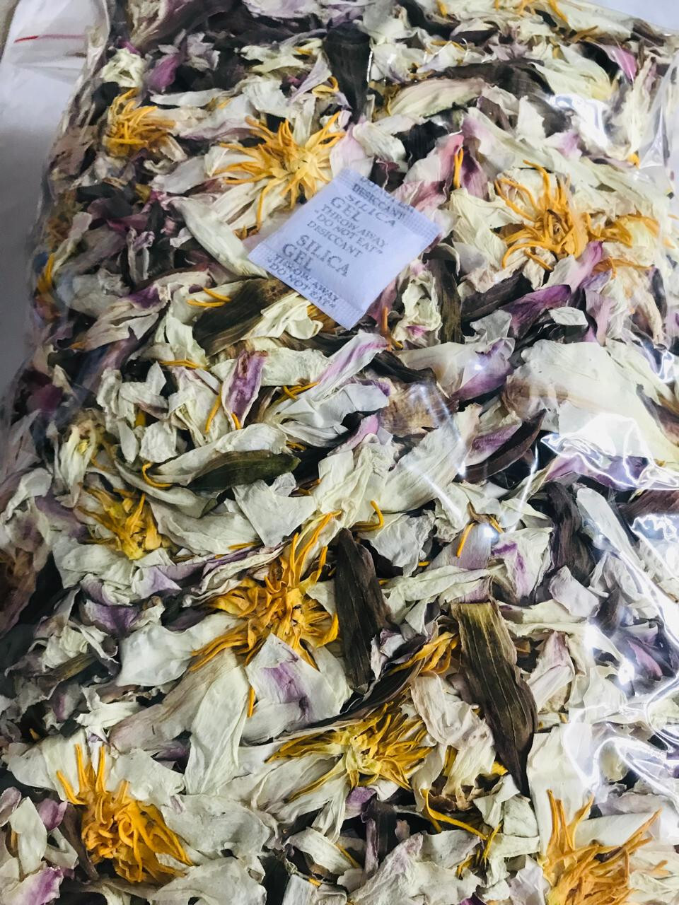 Dried White Lotus Flower Nymphaea Ampla 1 lb+ Organic Hand Picked Herb Tea