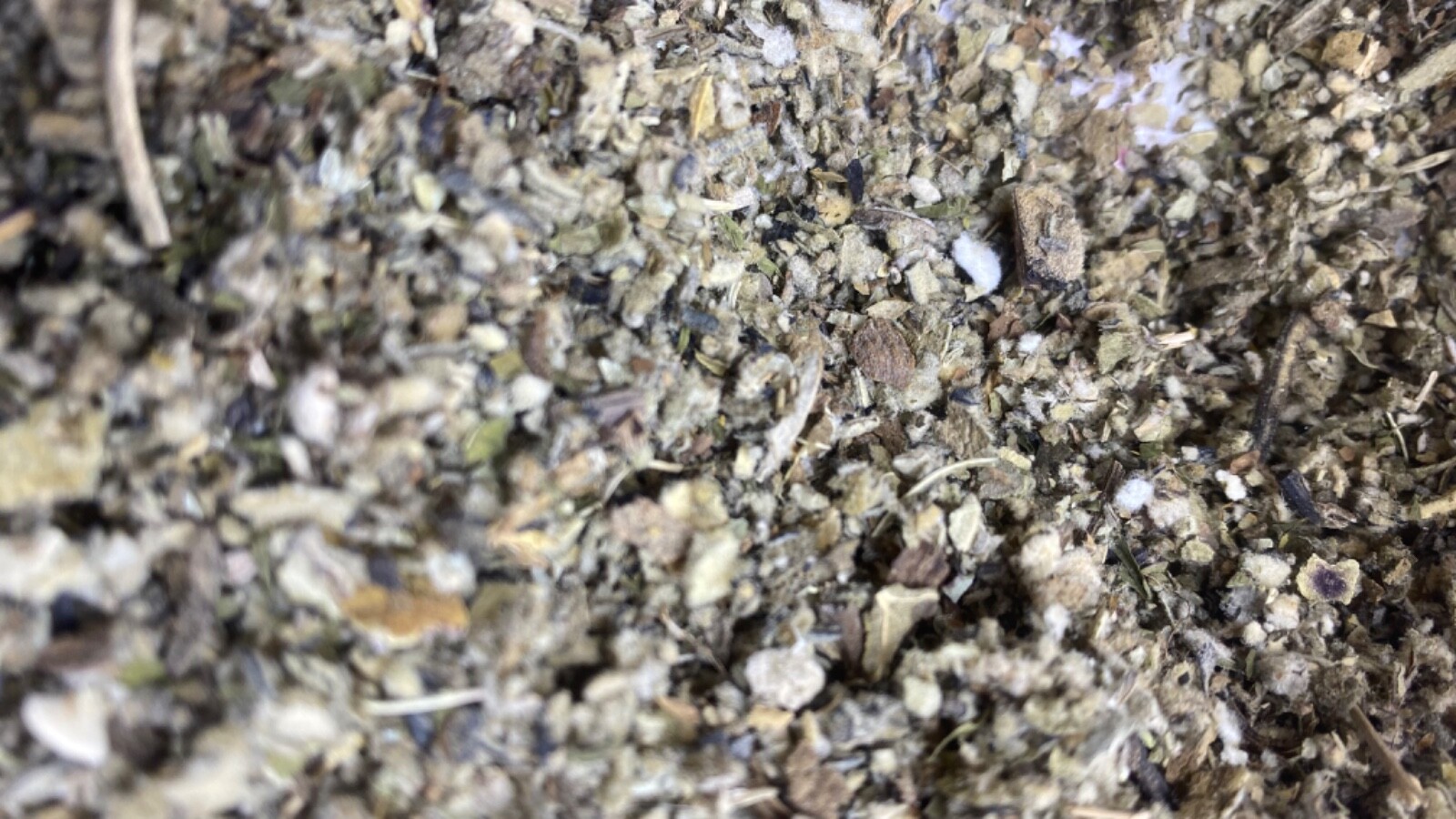COLTSFOOT MULLEIN PEPPERMINT LOBELIA organic bulk herb blend mix 1 2 4 8 oz lb