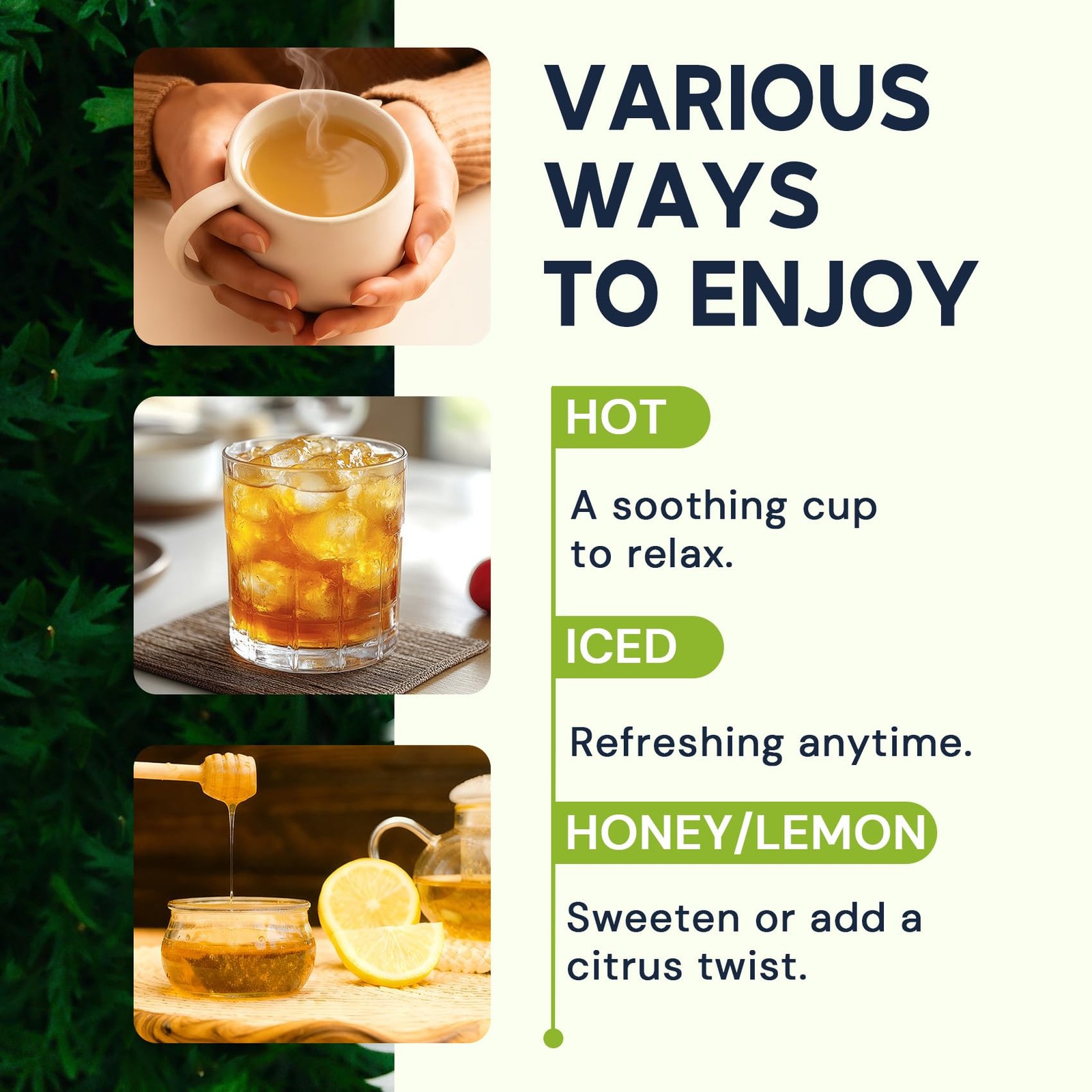Soursop Graviola Leaf Tea Bags Caffeine & Sugar Free, 20 Teabags