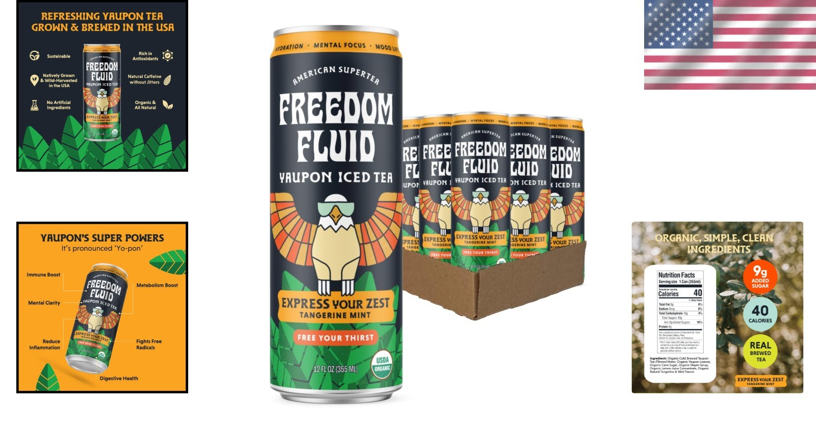 Healthier Iced Tea | Organic Yaupon with Tangerine Mint – 12 Pack of 12 oz Cans
