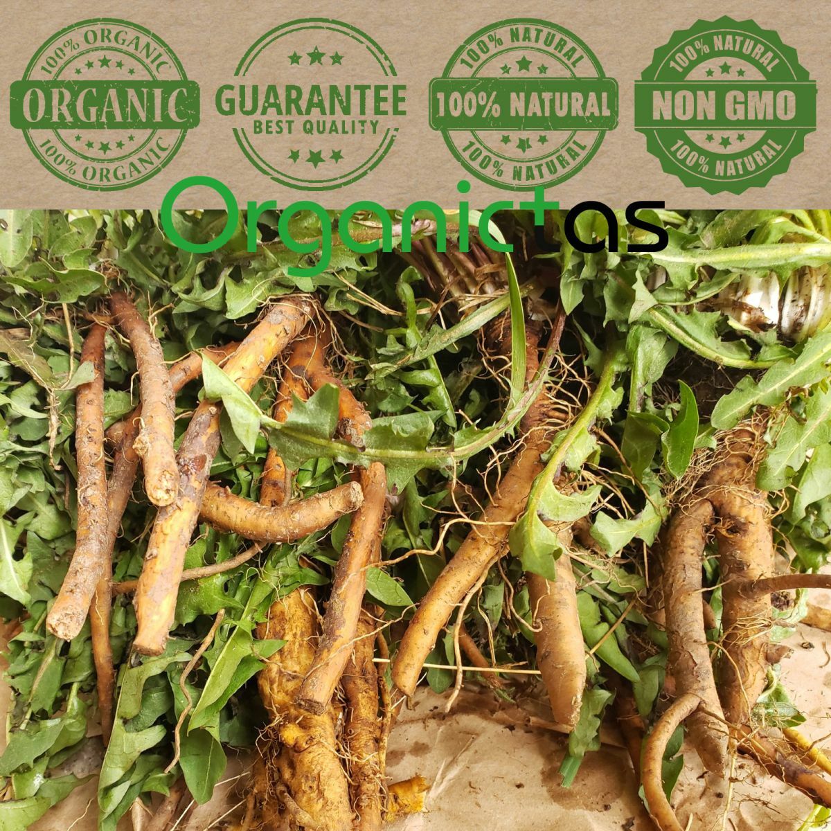DANDELION ROOT Organic Premium Quality Tea Cut Taraxacum Officinalis 25-200g BIO