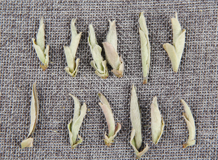 Yunnan White Bud Pu-erh Tea Bai Ya Bao Sheng Puerh Loose Leaf Raw Puer Yabao