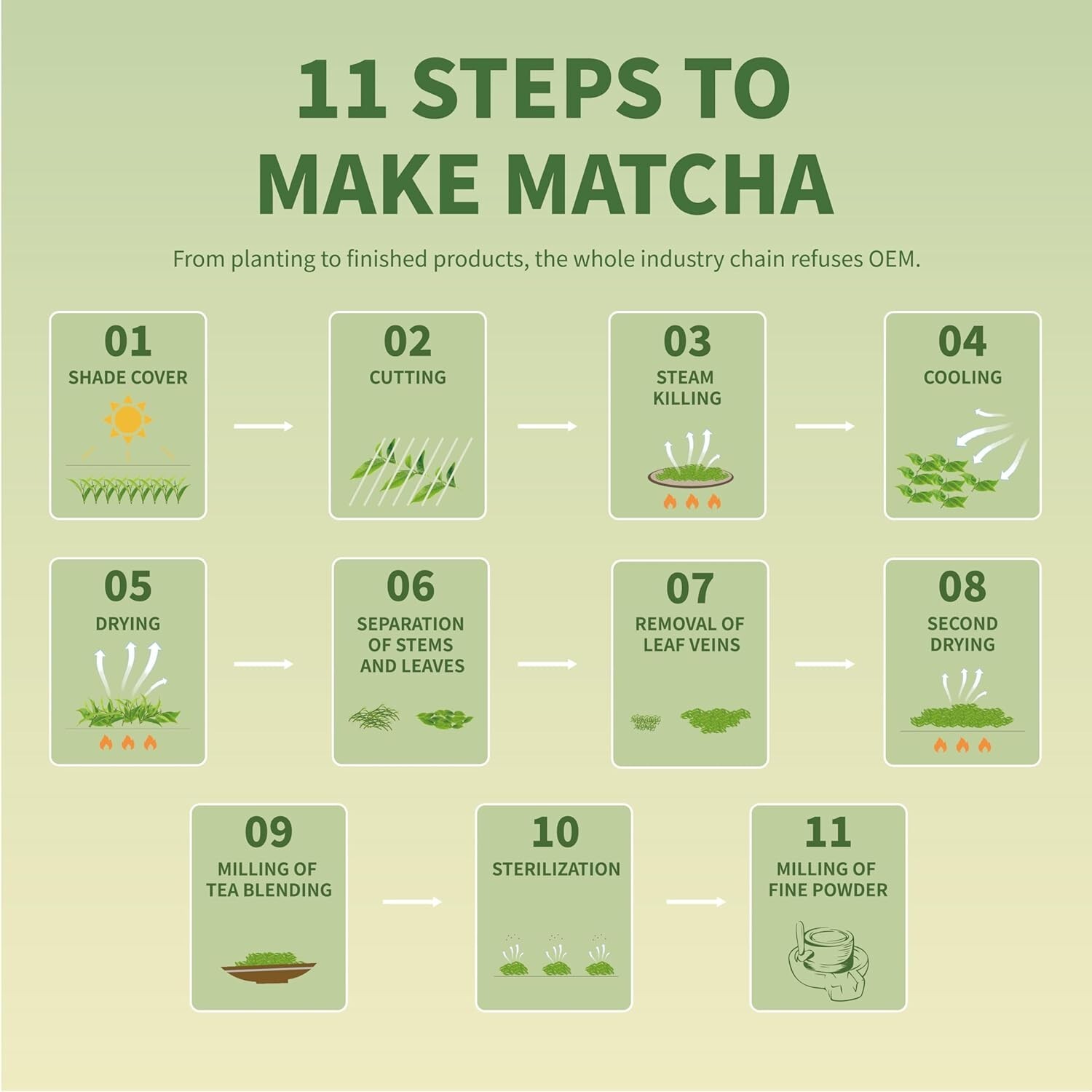 Pure Matcha Powder Green Tea Powder for Latte, Cooking, Baking,100% Natural