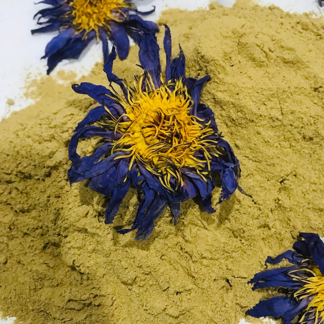 Dried Blue lotus Powder Organic Pure Quality Nymphaea Caerulea Flower Herbal Tea