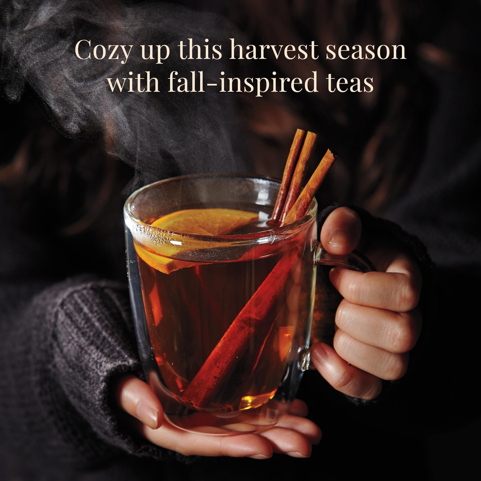 The Republic of Tea: Fall Harvest Tea Assortment Cube, 24 Count (Pack 1)