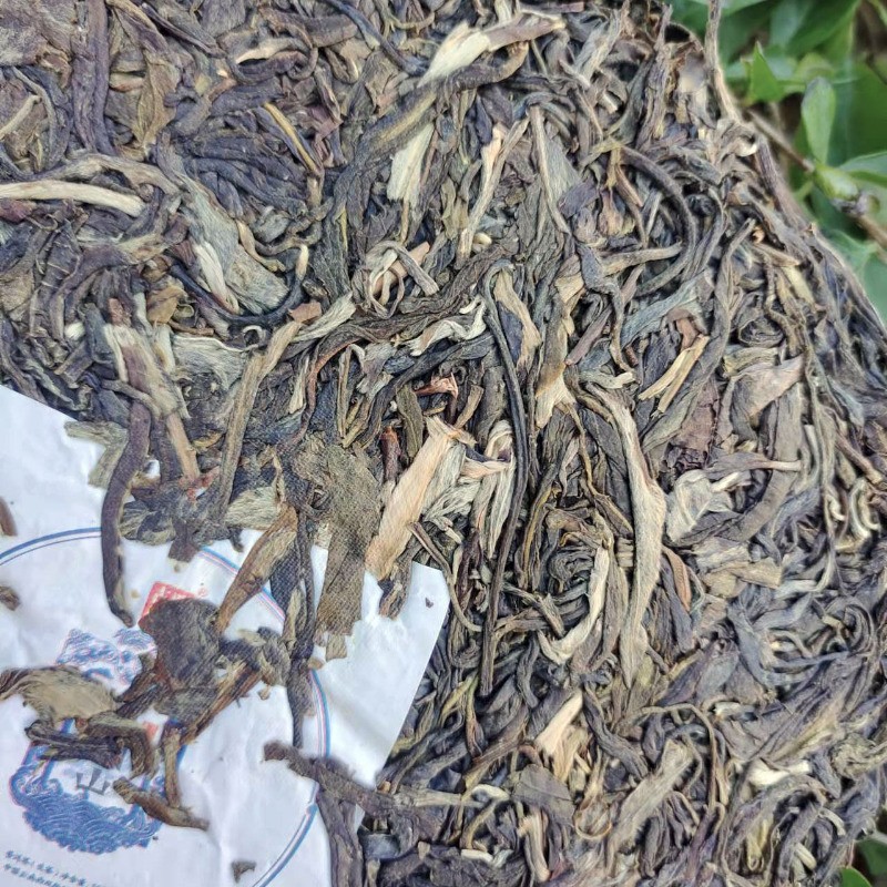 357g Authentic Brown Mountain Wuzhai Touchun Ancient Tree Pu’er Tea Raw Tea Cake