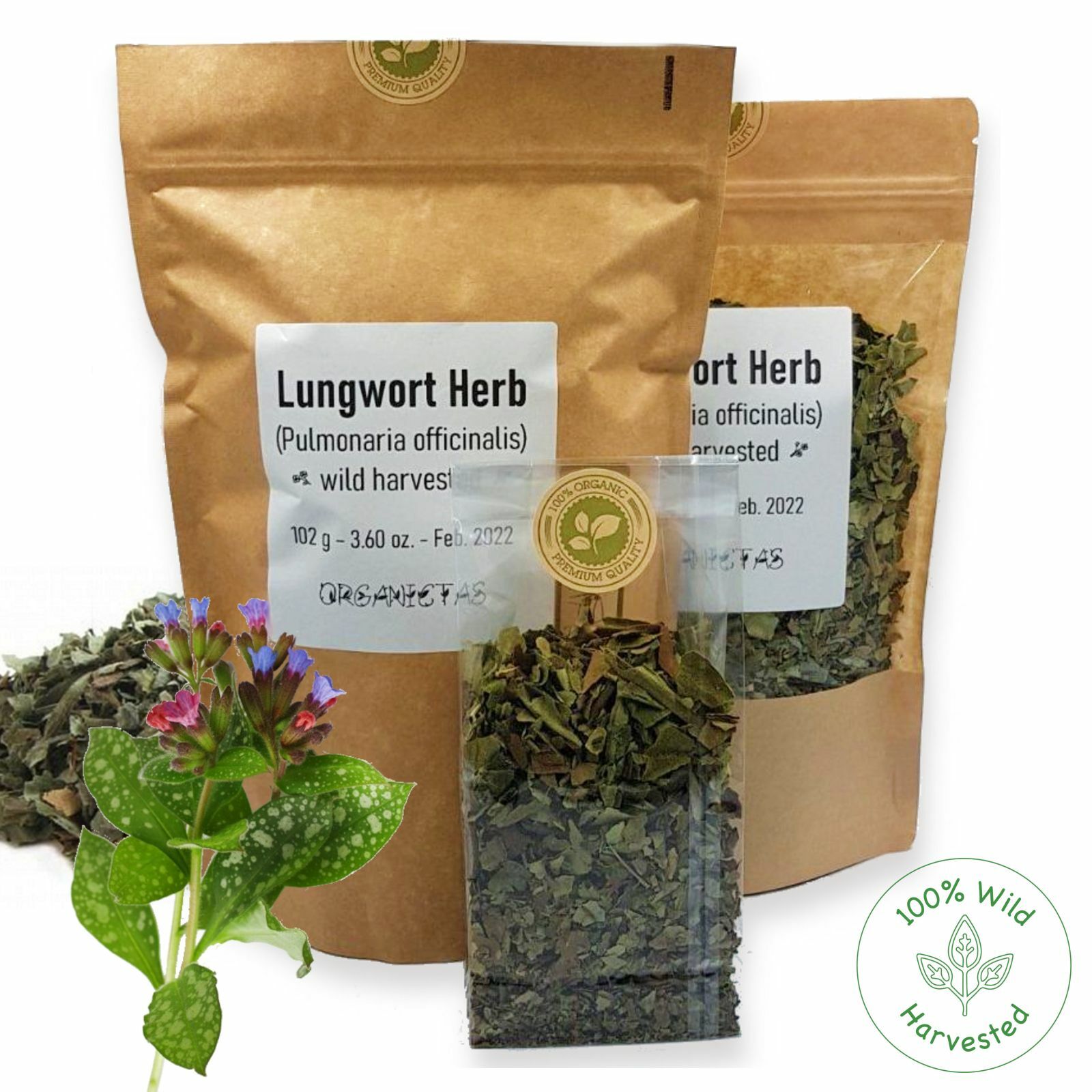 Lungwort Herb Tea Loose, for Lungs & Respiratory Tract Organic Pulmonaria offic.