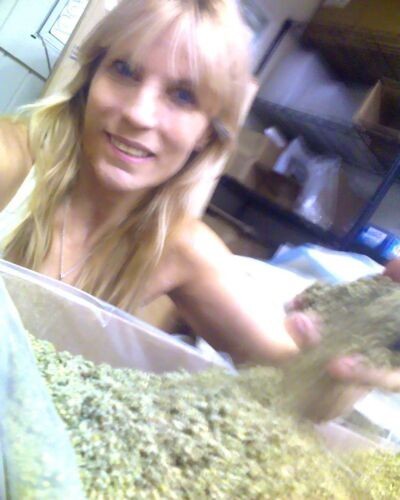 aromatic cut sifted DAMIANA leaf wild crafted bulk WHOLESALE herb – 1 2 3 pound