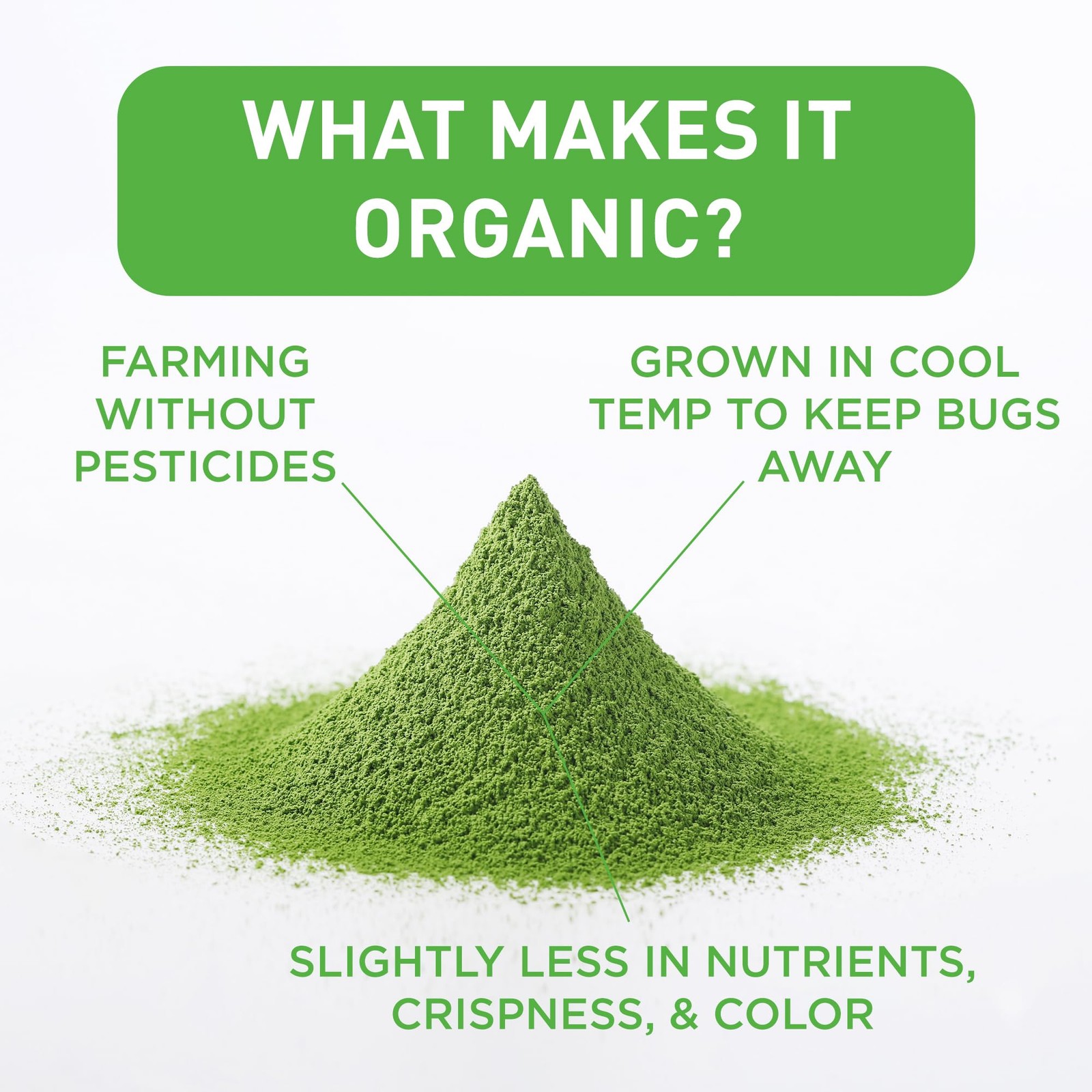 Aiya Certified USDA Organic Culinary Grade Matcha Green Tea Powder – Ideal fo…