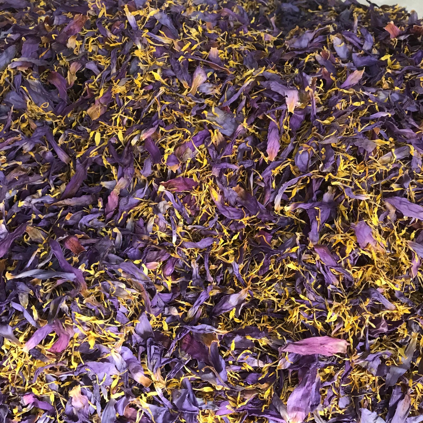Dried Blue Lotus 50g |Petal & Stamen| Hand Pick Flowers Organic High Quality Tea