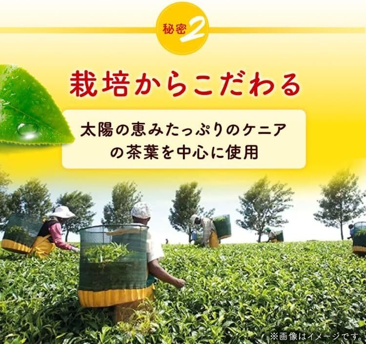 Lipton Black Tea 2.0g x 50 bags x 4 pyramid shaped tea bags unsweetened yellow L