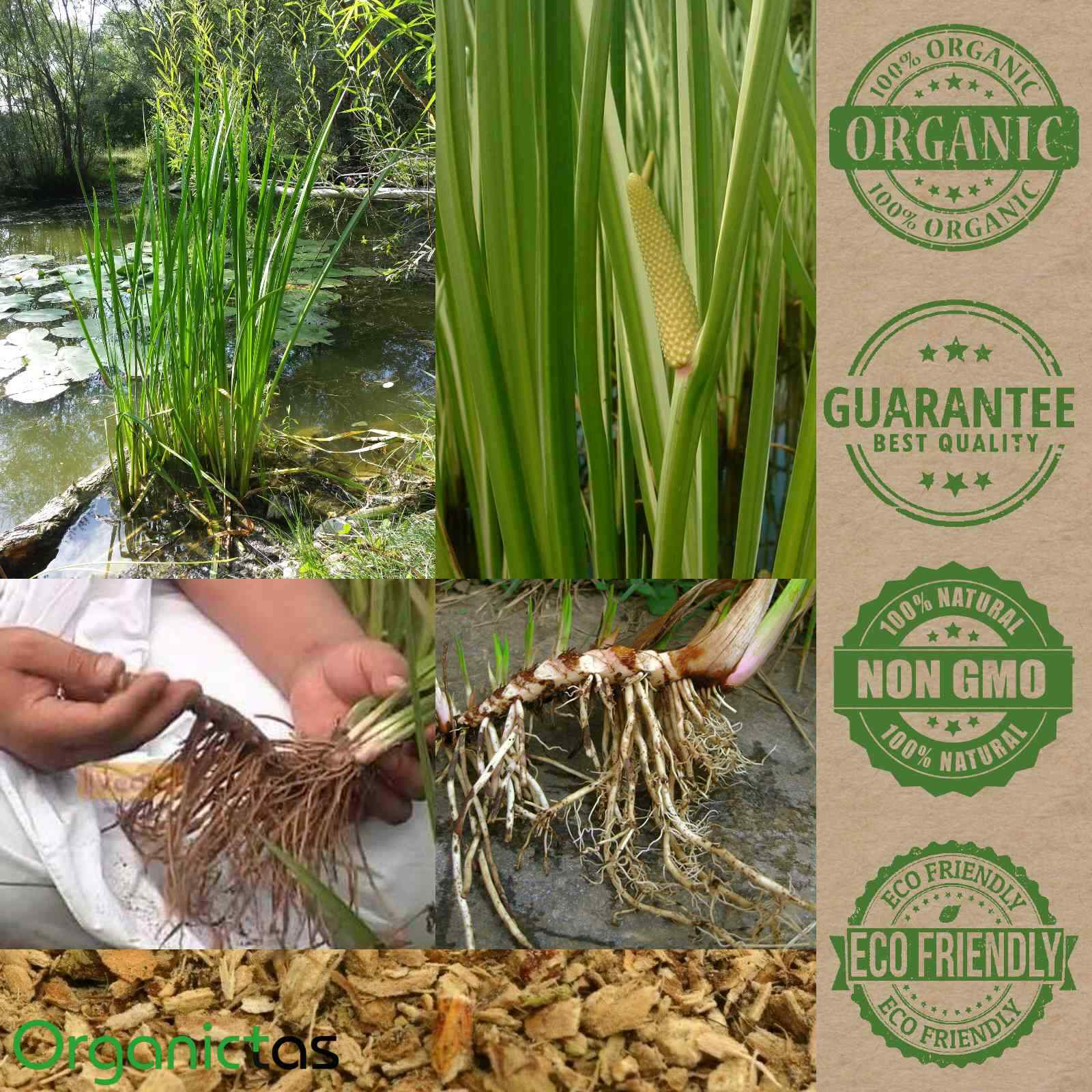 Organic Calamus Root Sweetflag 100% Best Quality Dried Cut Loose 25-200g