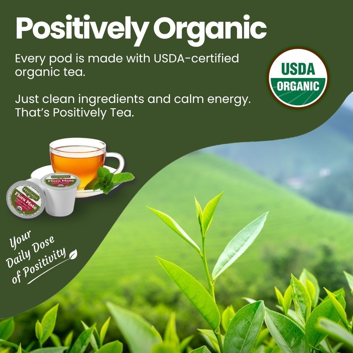 Positively Tea | Organic Flora Mate Tea | 96 Pods, Keurig Compatible