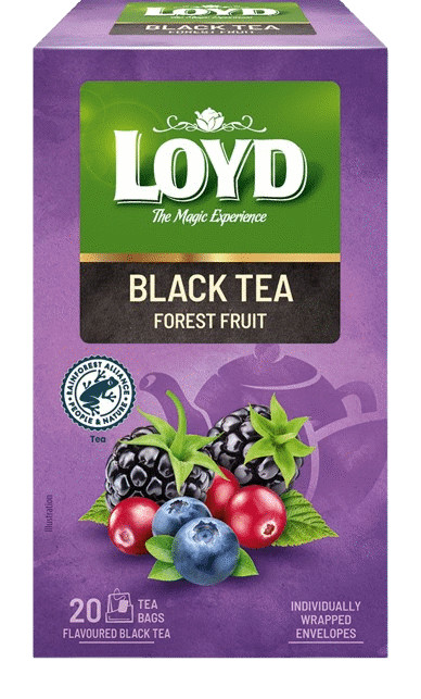 12 LOYD FOREST FRUIT Flavor Black Tea 20 Teabags Boxes 34g 1.2oz