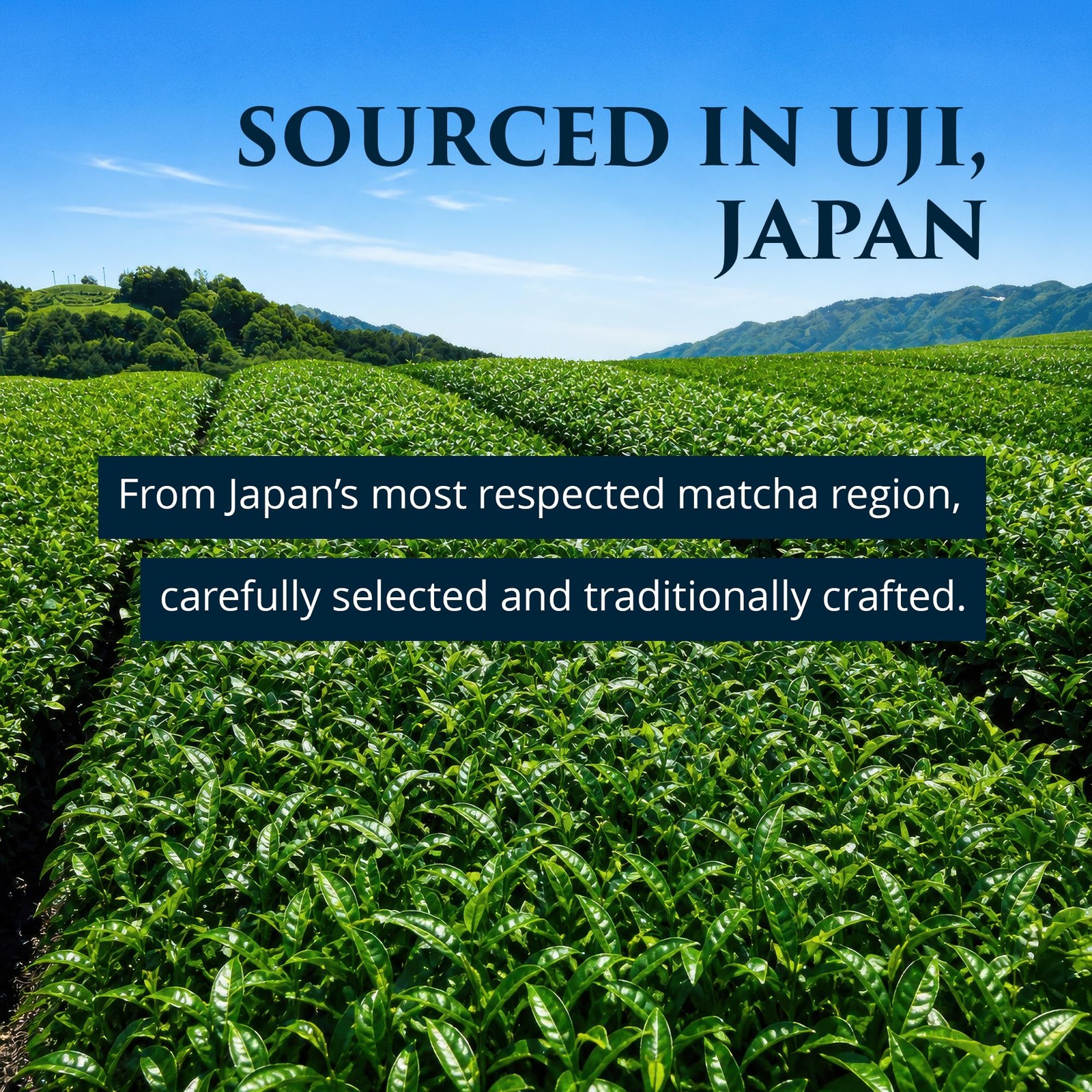 Uji Matcha Powder 100g – Ceremonial Grade, First Spring Harvest, Kyoto Grown …