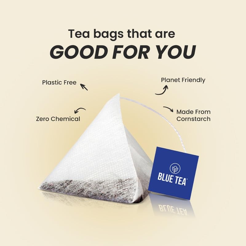 Soursop Tea 60 Count Pyramid Plant Based Tea Bags | Hoja Guanabana Tea | P…