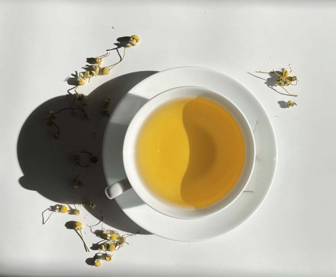Chamomile Tea by Palm Beach Herbals | 30ct, Caffeine-Free
