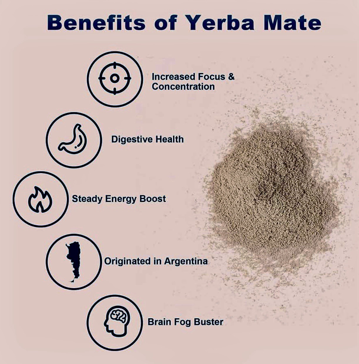 4x THEAN ECHO Yerba Magic Peach Mango 11.64oz 30 Serv Instant Tea, BB: 05/2027