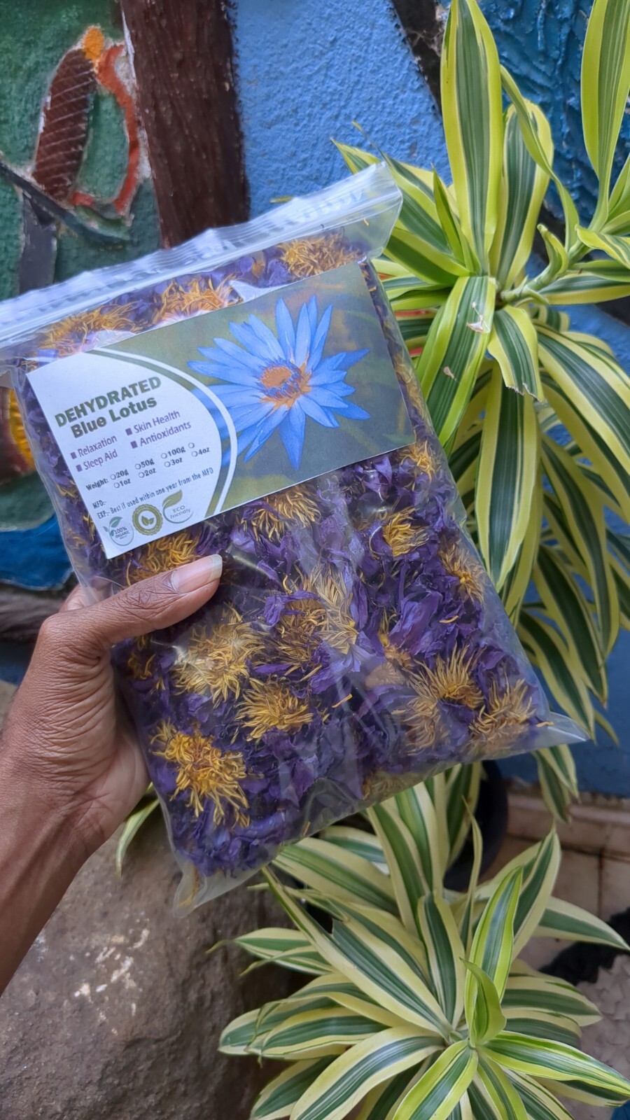 Dried BLUE LOTUS Nymphaea Caerulea| Organic Herbal Hand Picked Pure Flowers 100g
