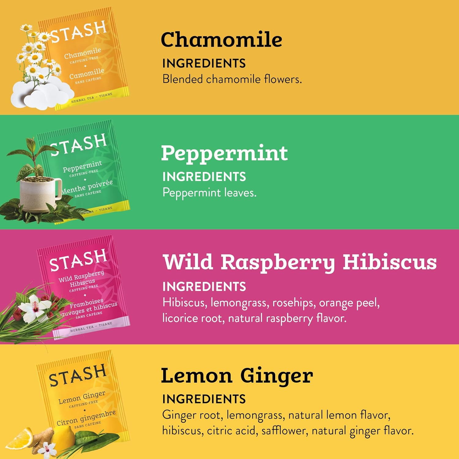 Stash Tea Day to Night Tea Sampler – Assorted Specialty Tea Gift Set, High to No