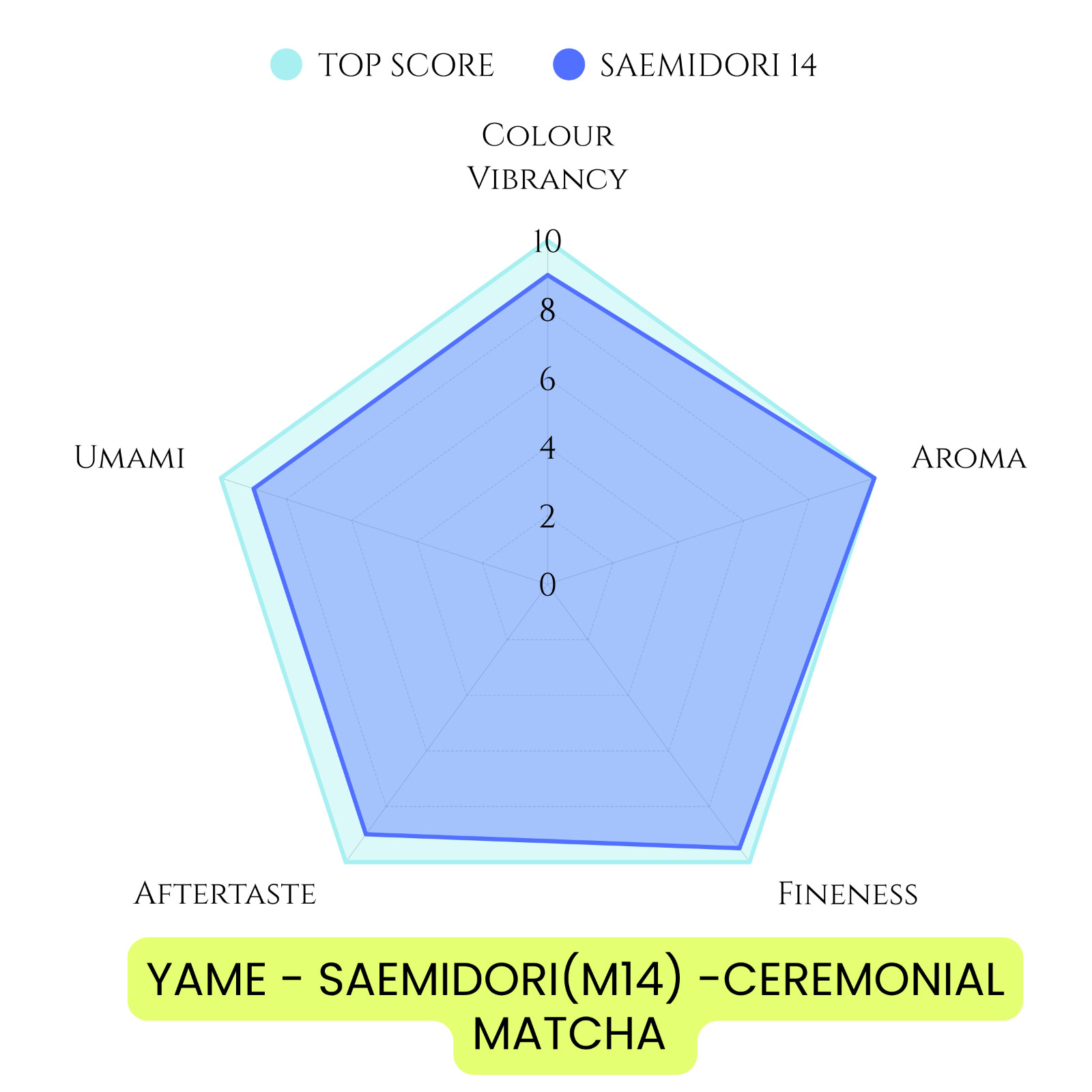 YAME CEREMONIAL MATCHA 20G – SINGLE SAEMIDORI – First Flush MATCHA – US Stock