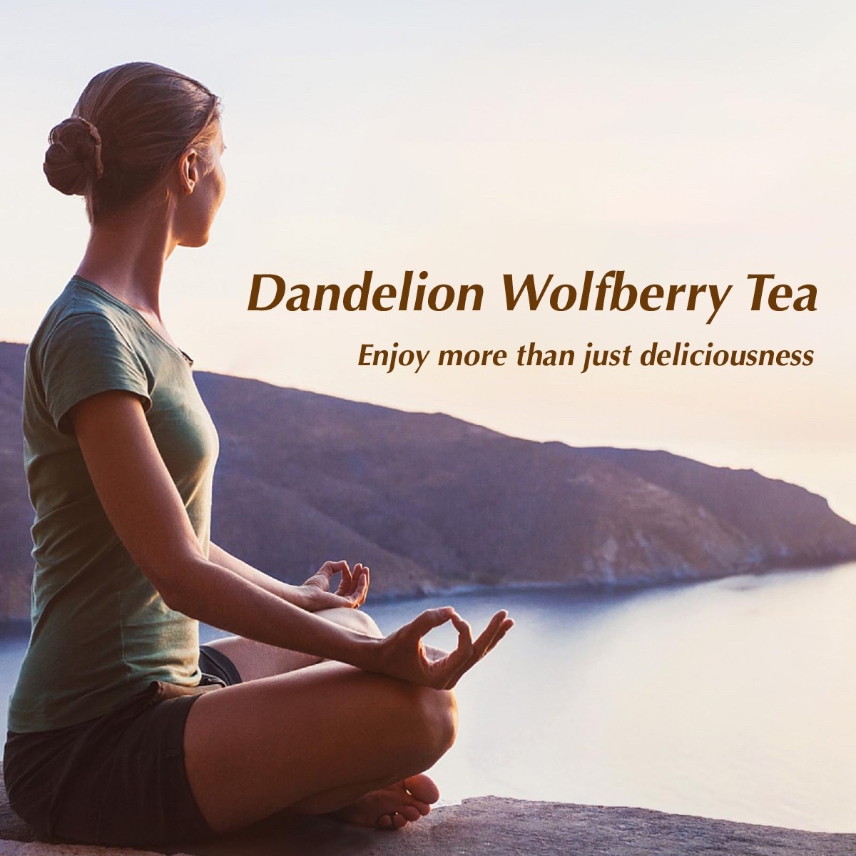 Dandelion Root Herbal Tea , Caffeine Free , 15 Bags , 100% Nature , FDA