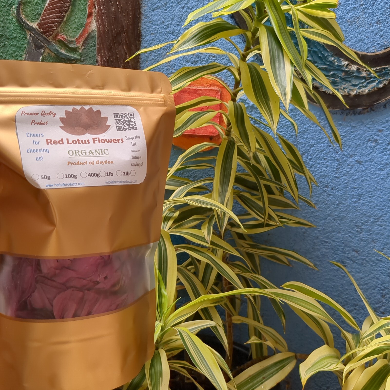 Dried Red Lotus| Nymphaea Rubra 100% Hand Picked Ceylon Natural Organic Herb Tea
