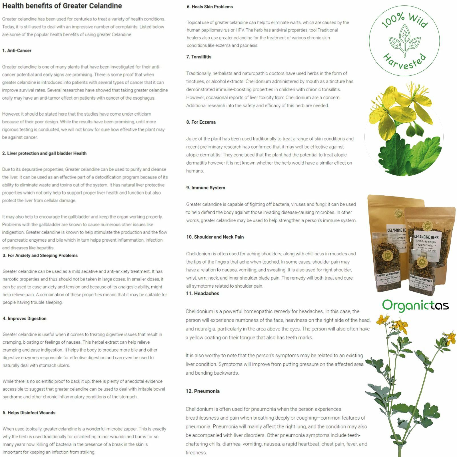 Greater CELANDINE Herbal Tea Organic Premium Quality Dried Loose Herb 50-200g