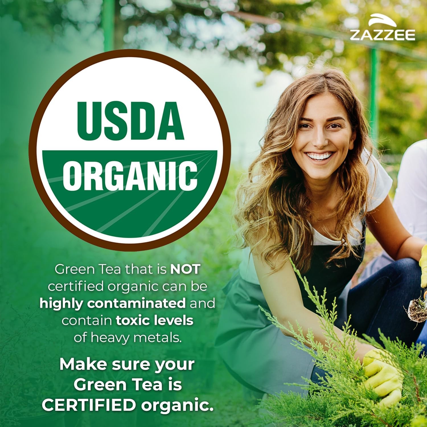 Zazzee USDA Organic Green Tea 20:1 Extract, 50% EGCG, 120 Count (Pack of 1)