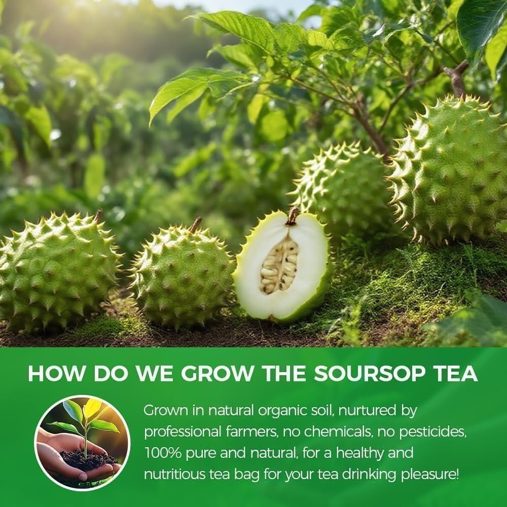 WOTIHA 45 Count Premium Soursop Graviola Tea Bags – 100% Natural soursop leaves,