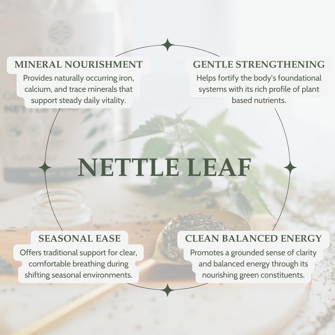Organic Stinging Nettle 4 oz. (113g), USDA Certified Leaf…