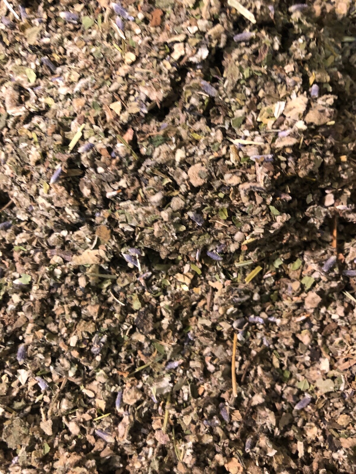 Clove Spearmint Skullcap Mullein Coltsfoot Lavender Raspberry – No.31 Herb Mix