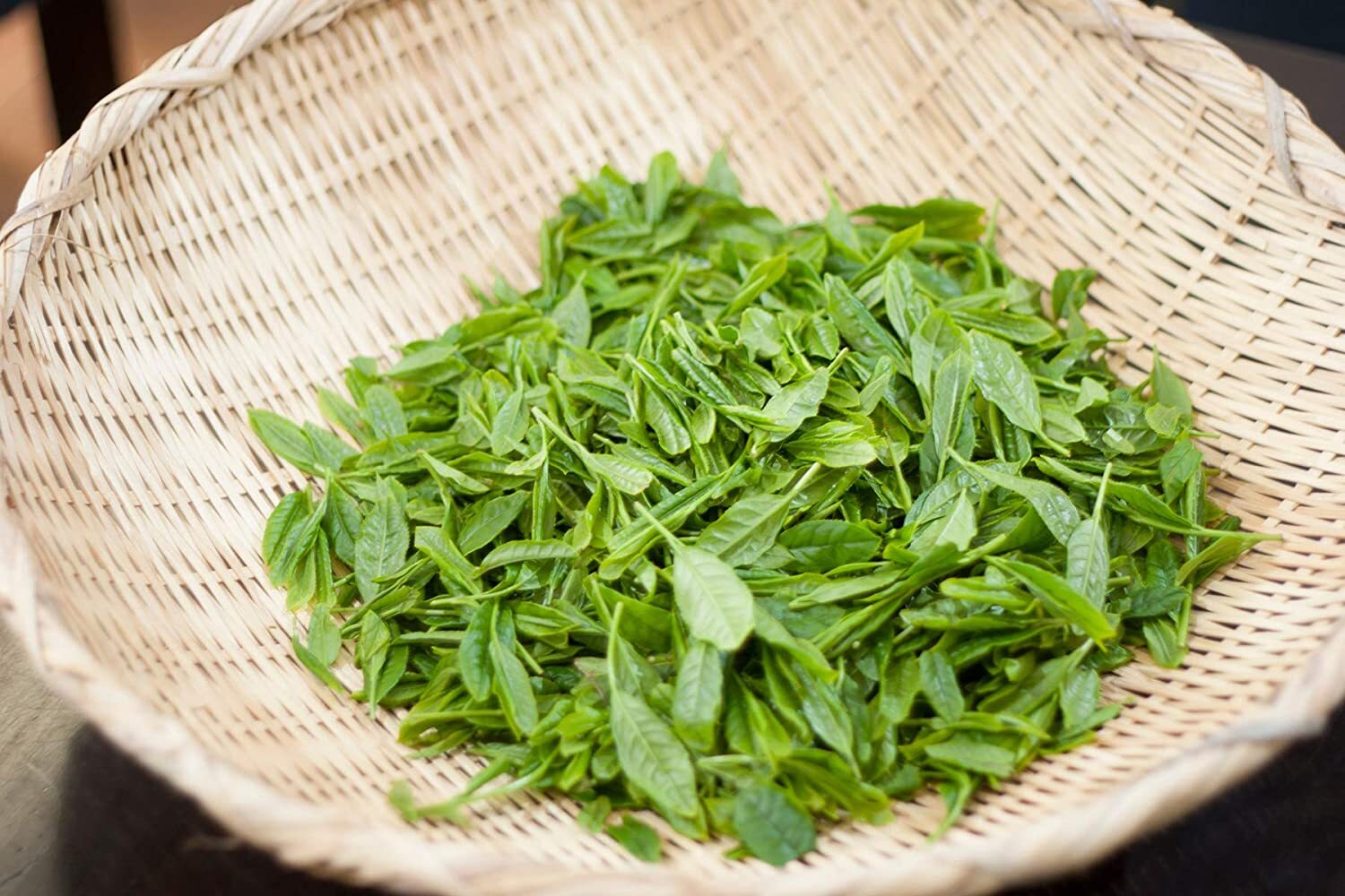 Japanese Harada Shizuoka cha Green Steamed Tea 100g Made in Japan