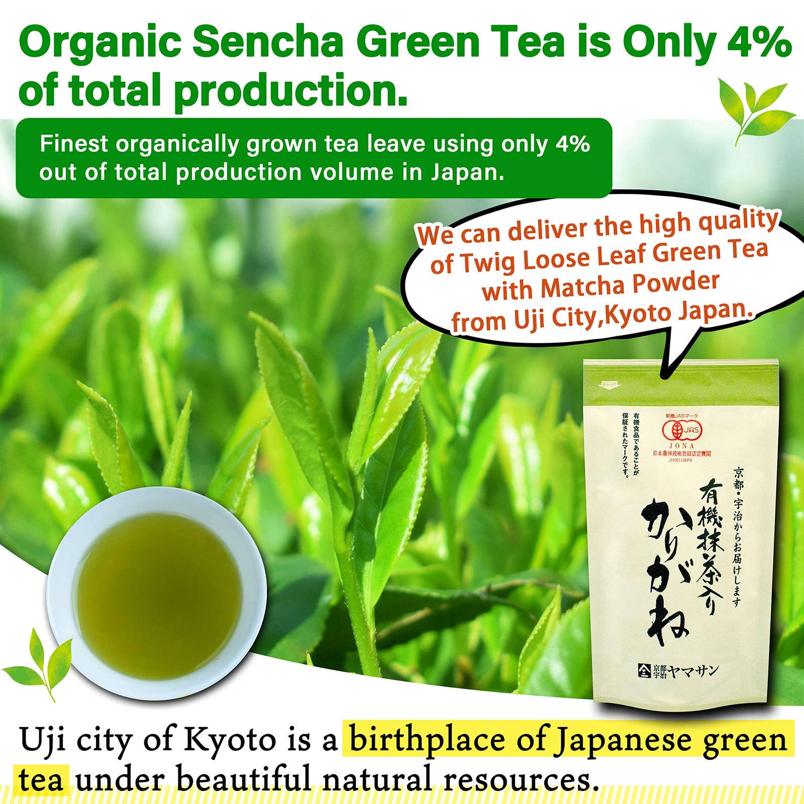 Organic Green Tea, Kukicha Twing tea with Matcha Green Tea Powder, Japanese Tea