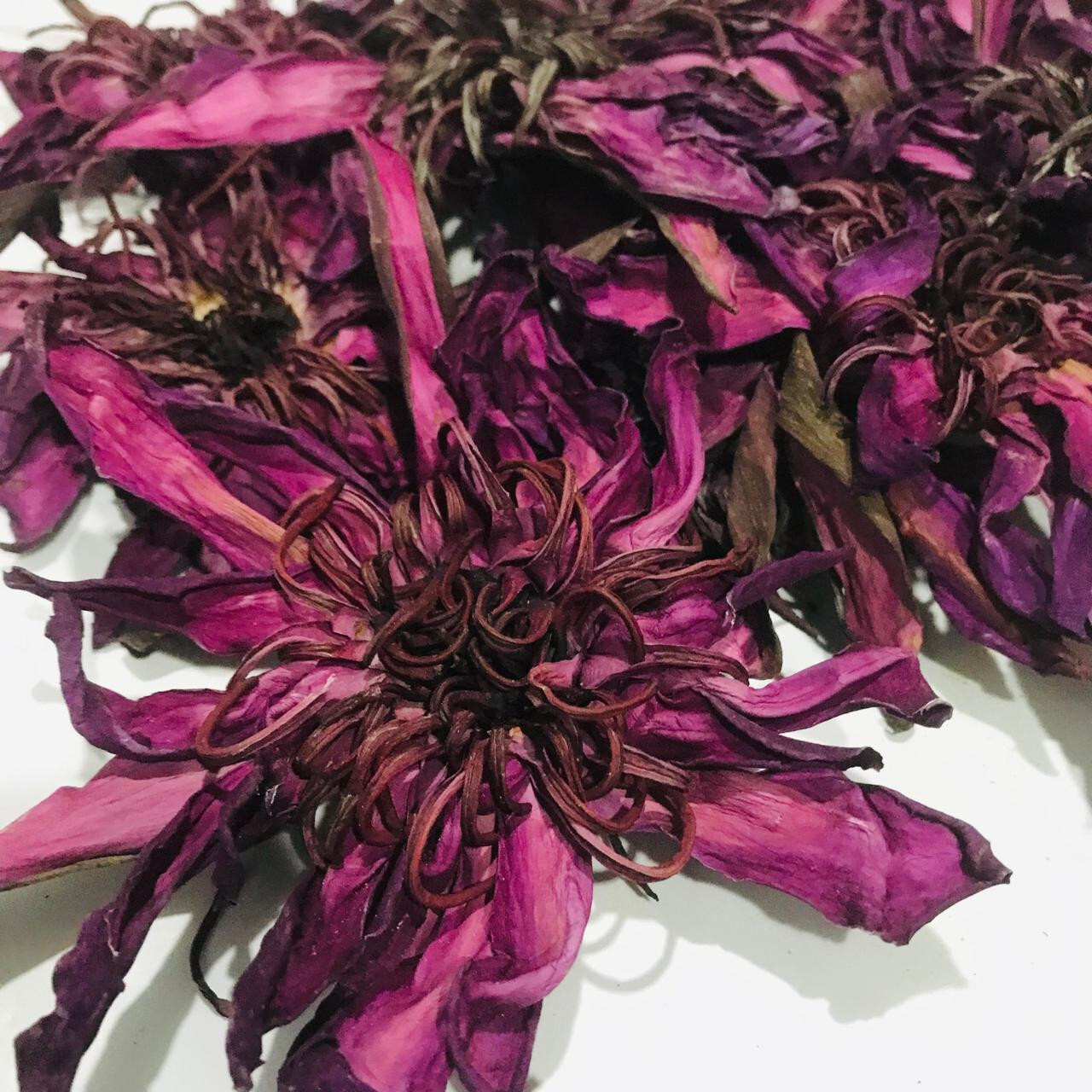 Dried Red Lotus Flower 1kg Nymphaea Rubra 100% Organic Natural Herbal Tea