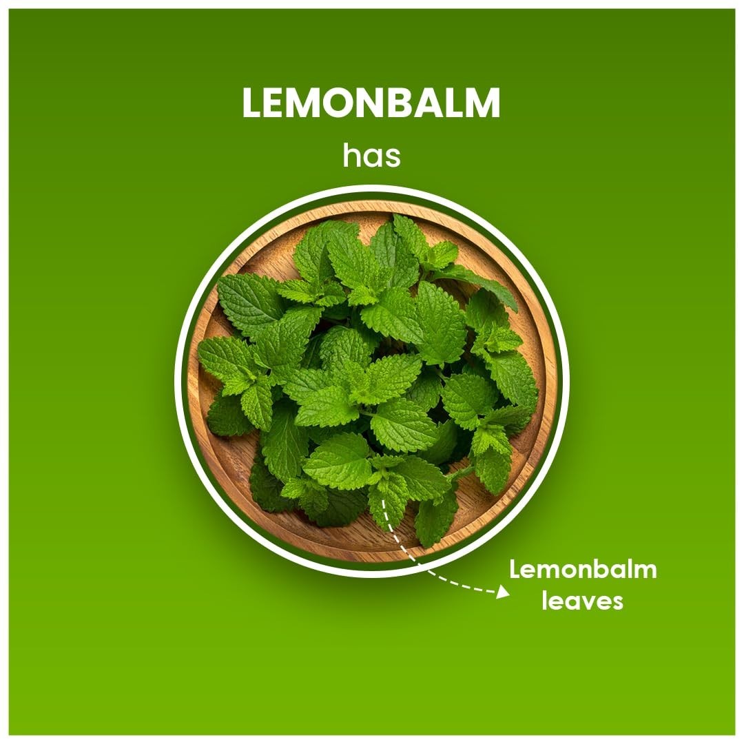 BLUE TEA Lemon Balm Tea 50g Natural Leaf Based Tea Free Shipping World Wide