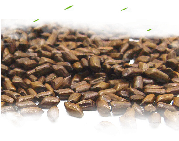 Cassia Seeds Tea Natural Healthy Premium Cooked 500g