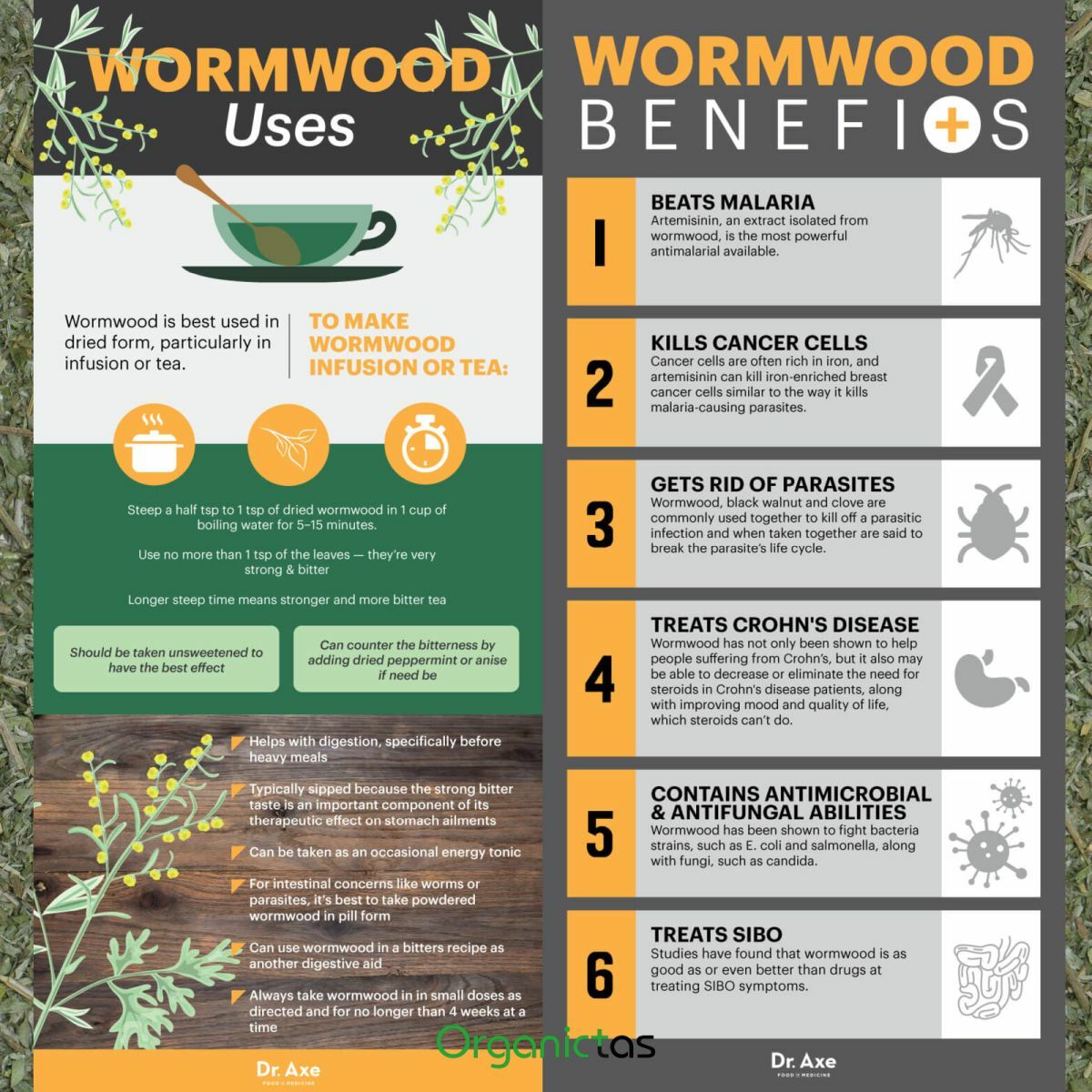 Artemisia Absinthium Organic Wormwood Tea – Best Premium Quality Health Benefits