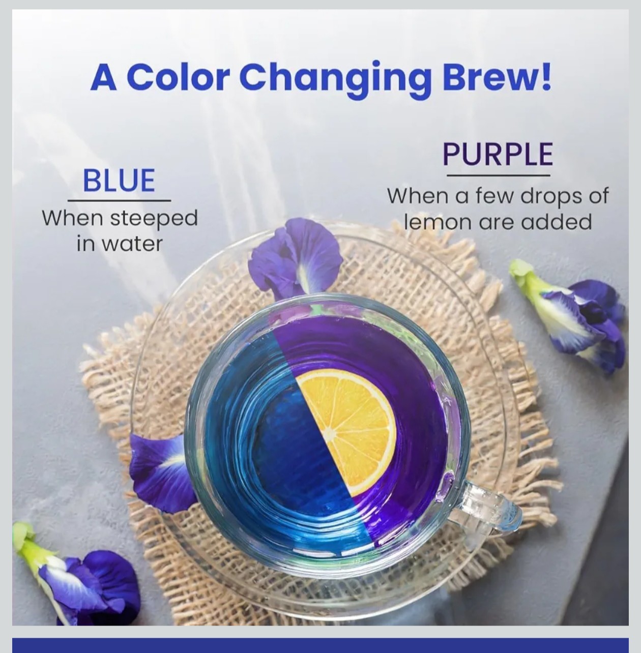 BLUE TEA Butterfly Pea Flower 30 Tea Bags Antioxidant Caffeine Free Detox Herbal