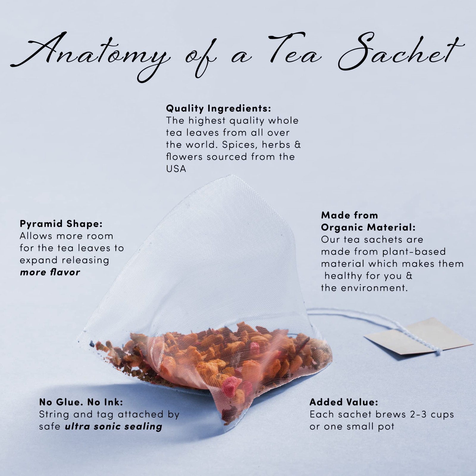 Noveltea Literary Tea Gift Basket by , 5 Gourmet Teas, Honey Stirrer, & Journ…