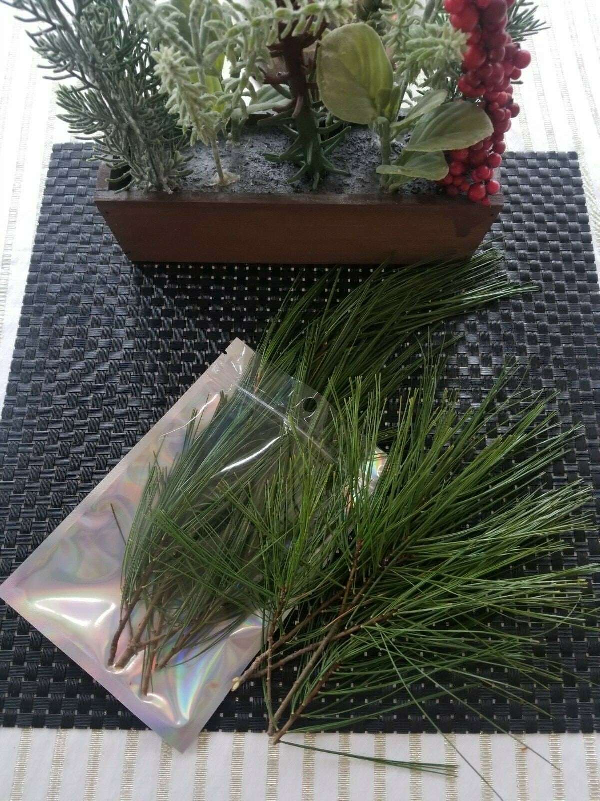 Eastern Pine Tree Tea 🍵 Immunity Boosting /Actively Fights against Infections/